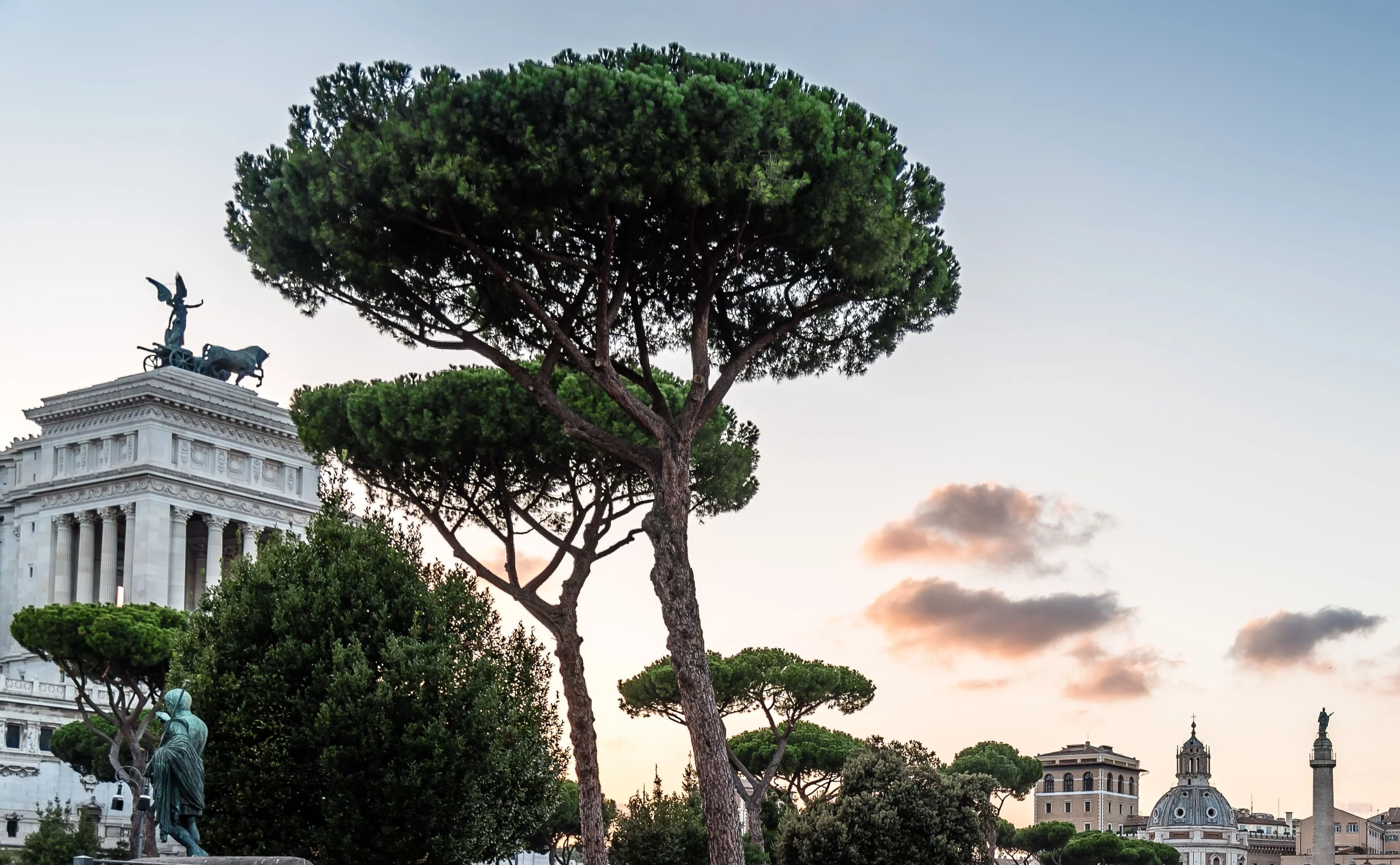 Why Choose Localrydes in Rome?