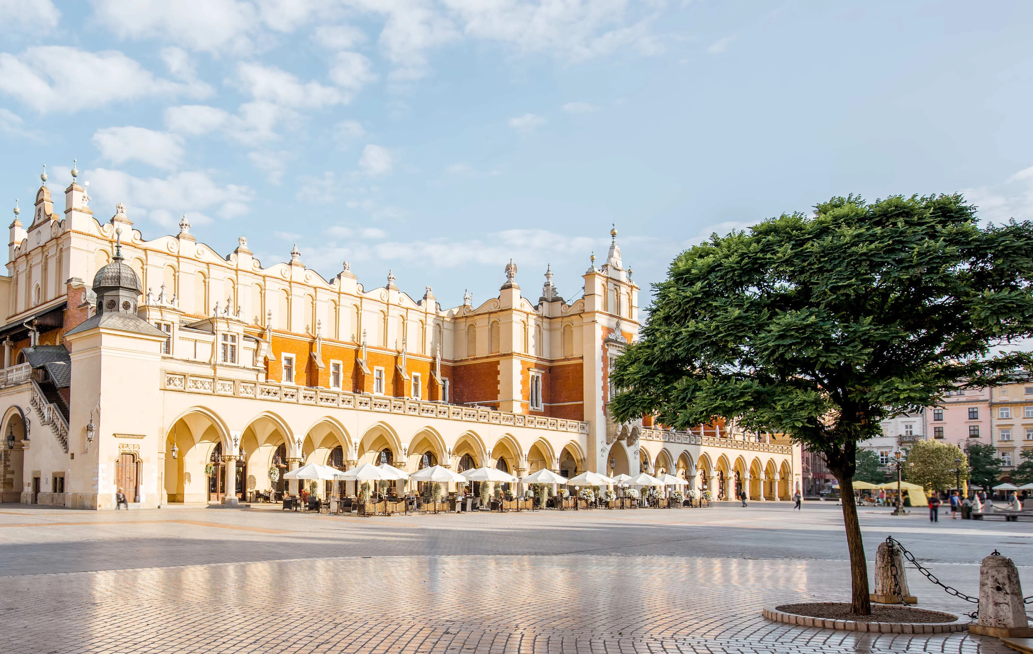 Exclusive Chauffeur Services in Kraków