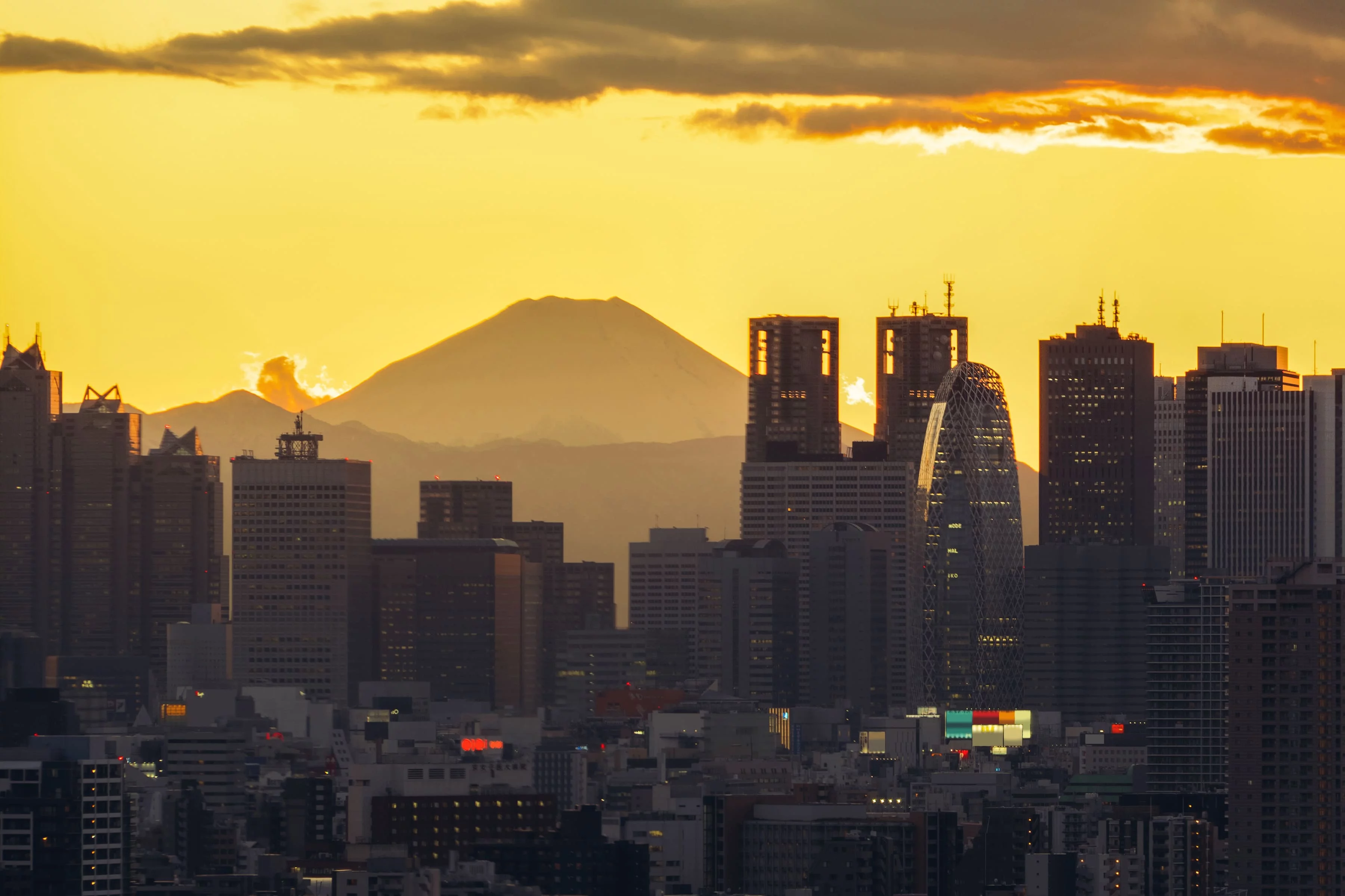 Experience Tokyo in Luxury
