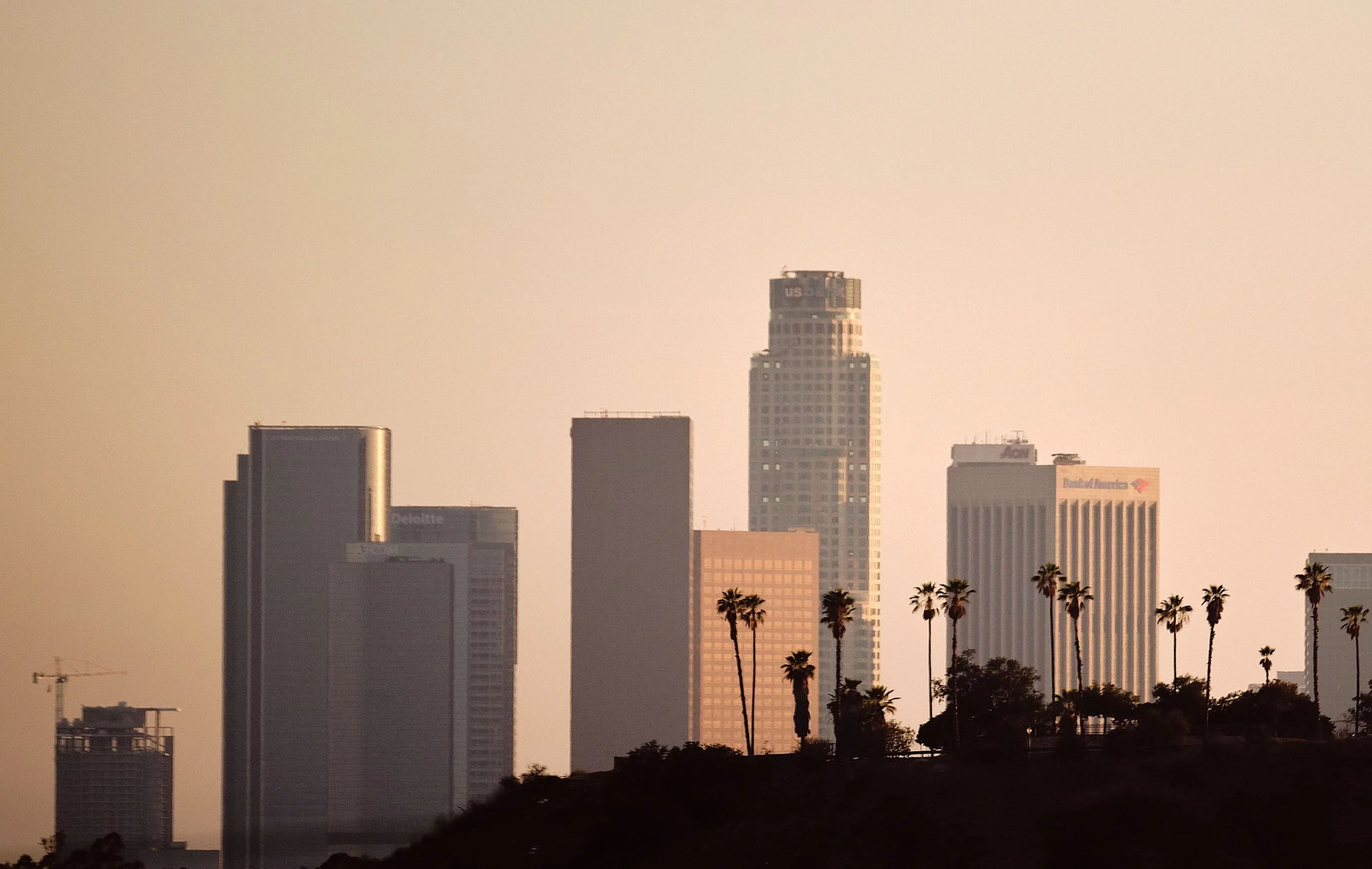 Why Choose Localrydes in Los Angeles?