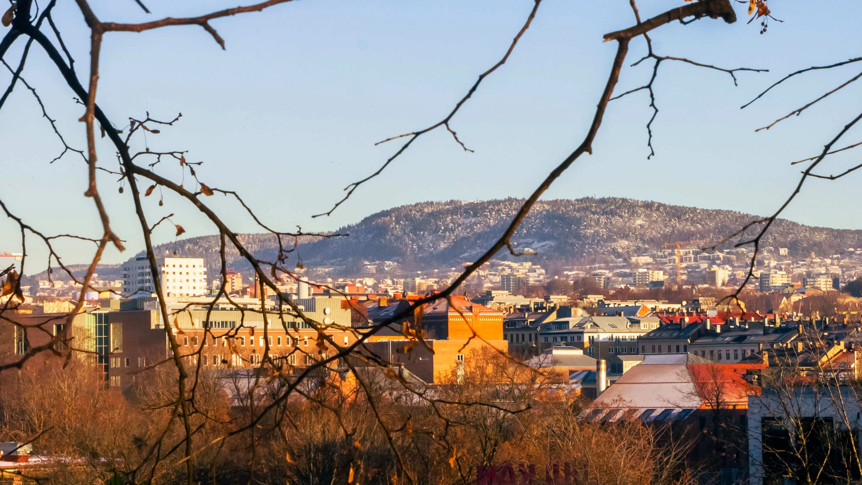 City-to-City Chauffeur Services from Oslo