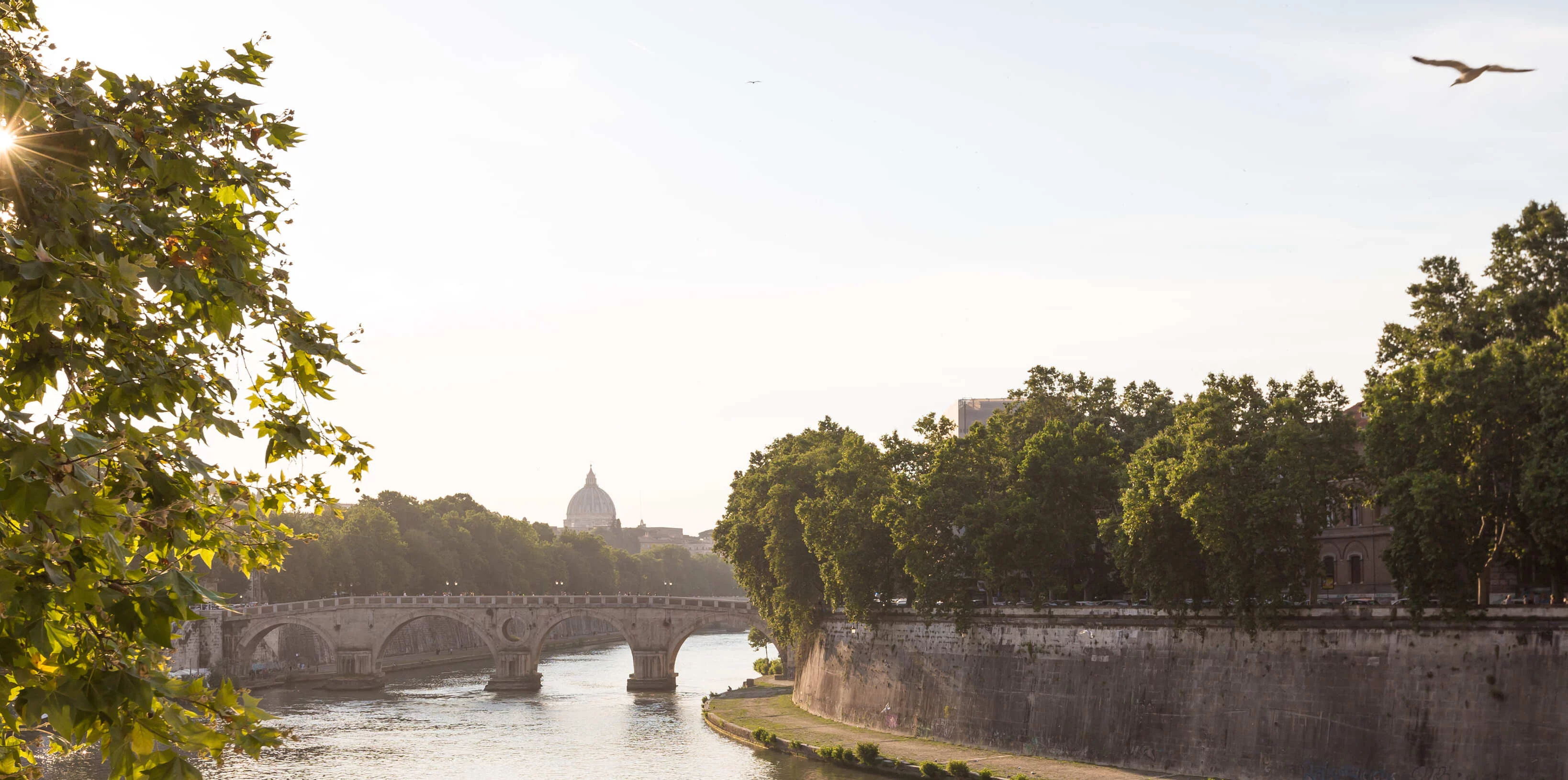 City-to-City Journeys from Rome