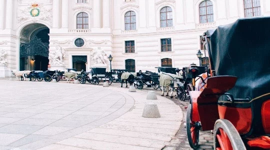 Experience Vienna