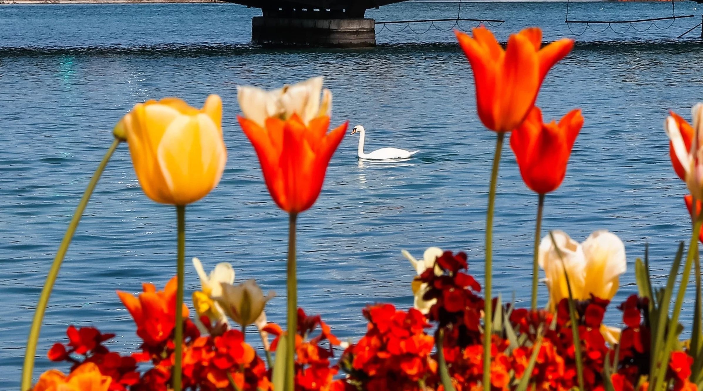 Geneva – Where Elegance Meets Serenity
