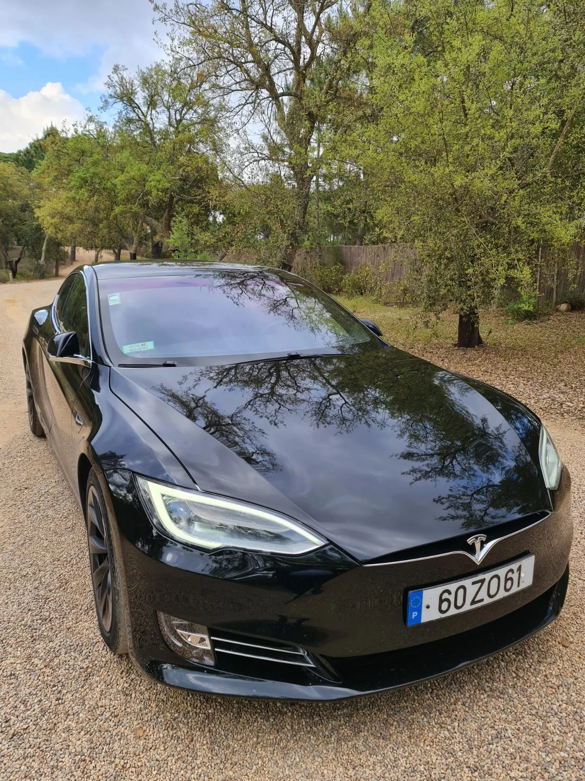 Tesla S 2019