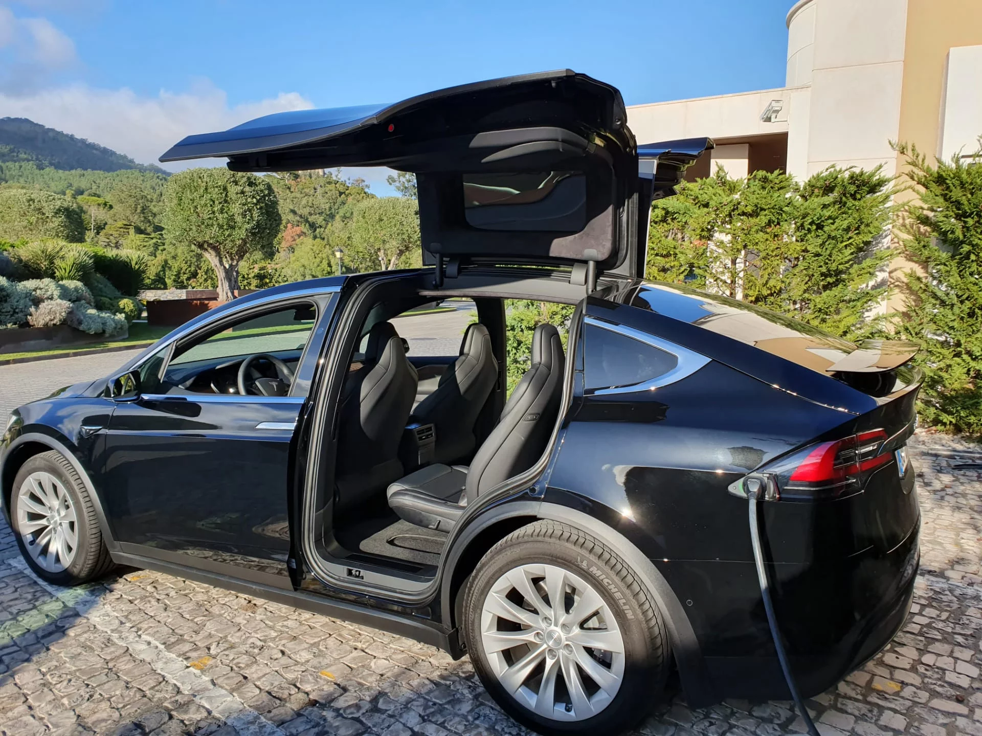 Tesla X 2019