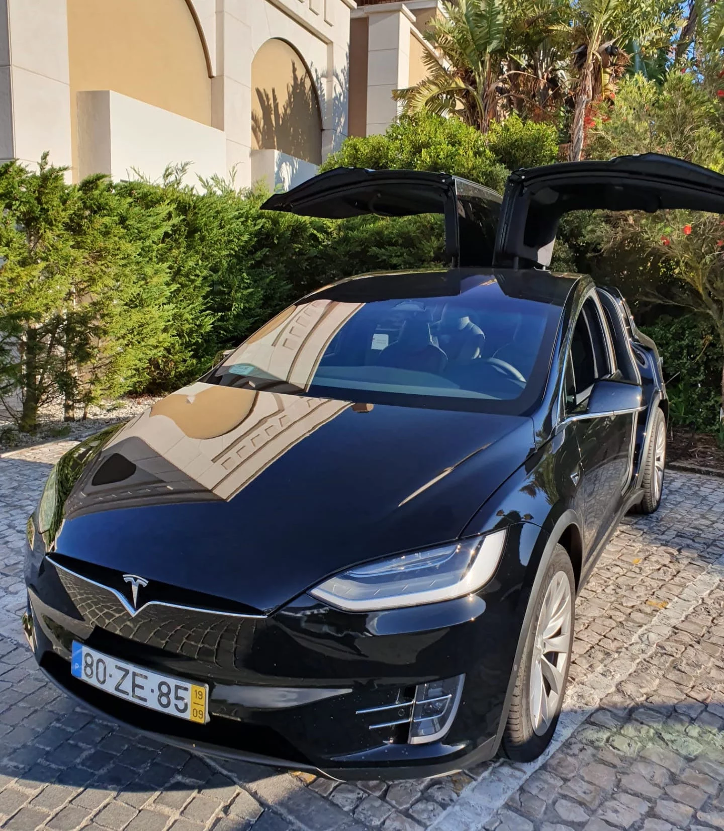 Tesla X 2019 - Photo 2