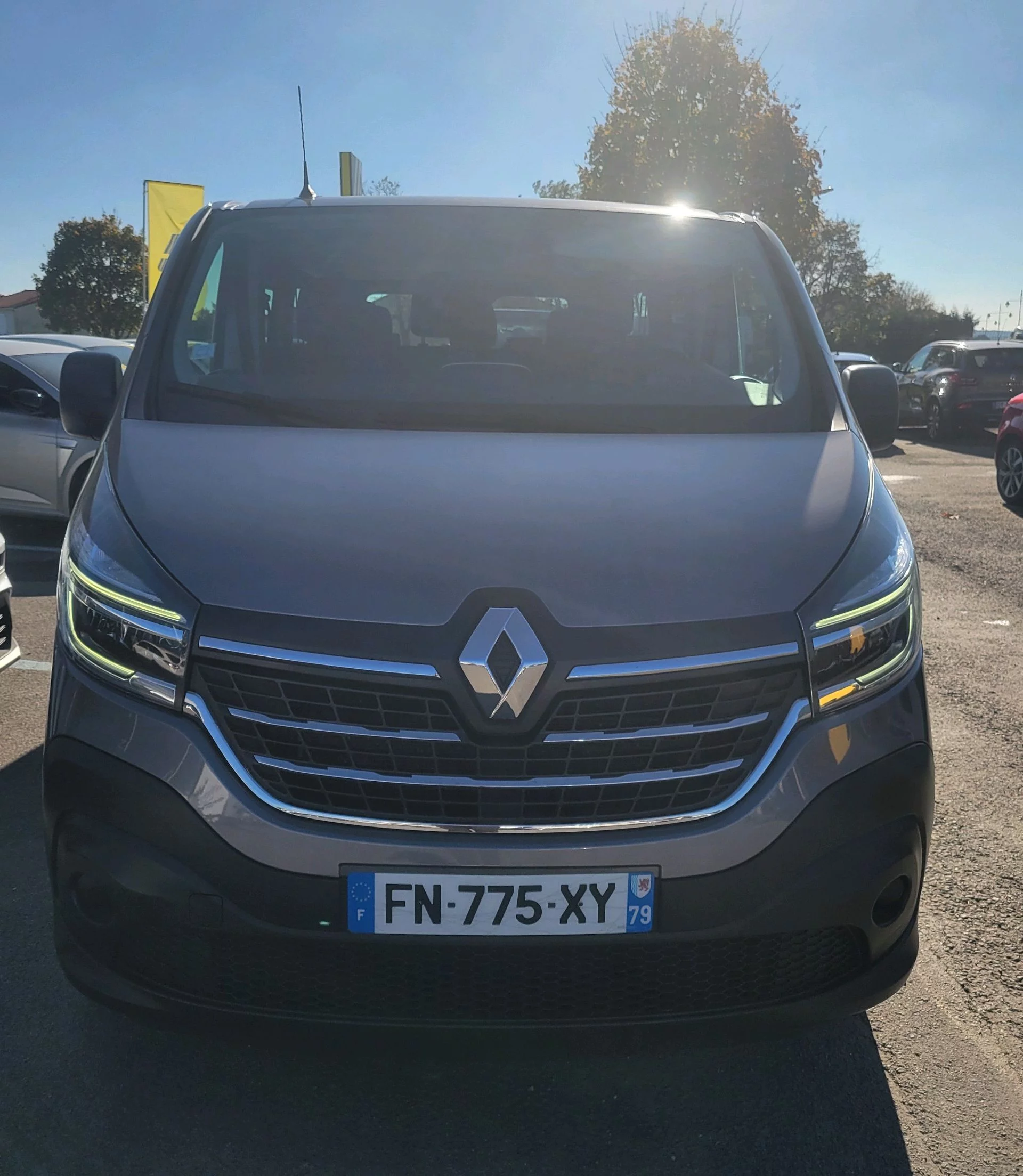 Renault traf 2020