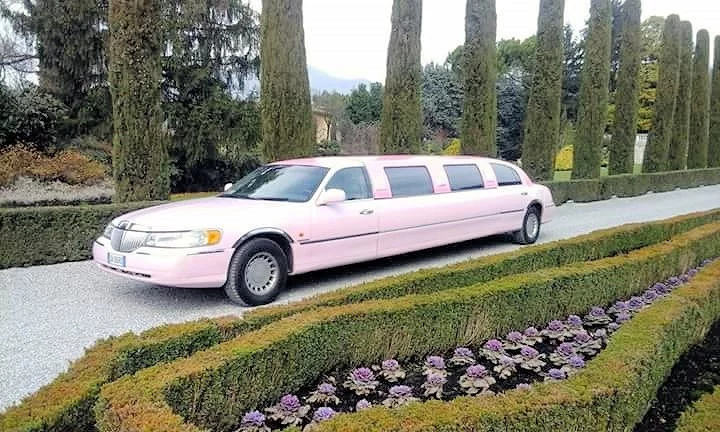 Lincoln  Town 2001 - Photo 2
